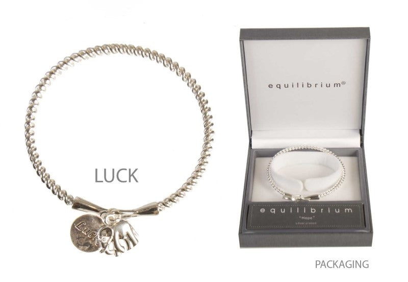 Equilibrium Character Charm Bangle Luck - My Wish List Gifts