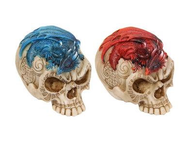 Dragon on Skull - My Wish List Gifts