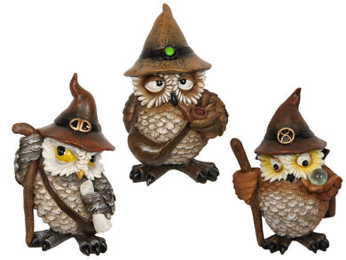 Cute Wizard Owl